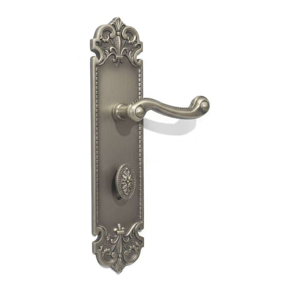 Helios Plate with Astria Handle & AIOM Knob – Brass Door Lockset 327 mm x 77 mm (12.87" x 3.03")
