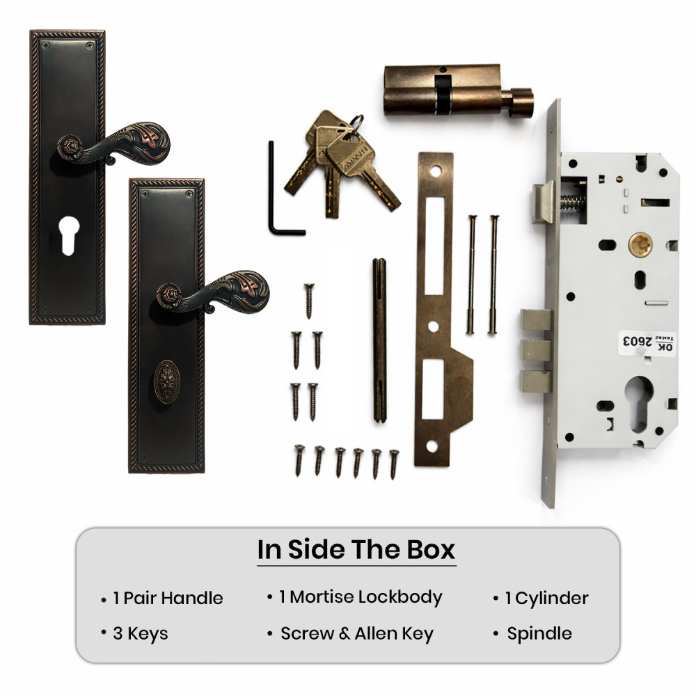 Georgia Plate with Demeter Solid Handle & AIOM Knob – Brass Door Lockset 307 mm x 79 mm (12.09" x 3.11")