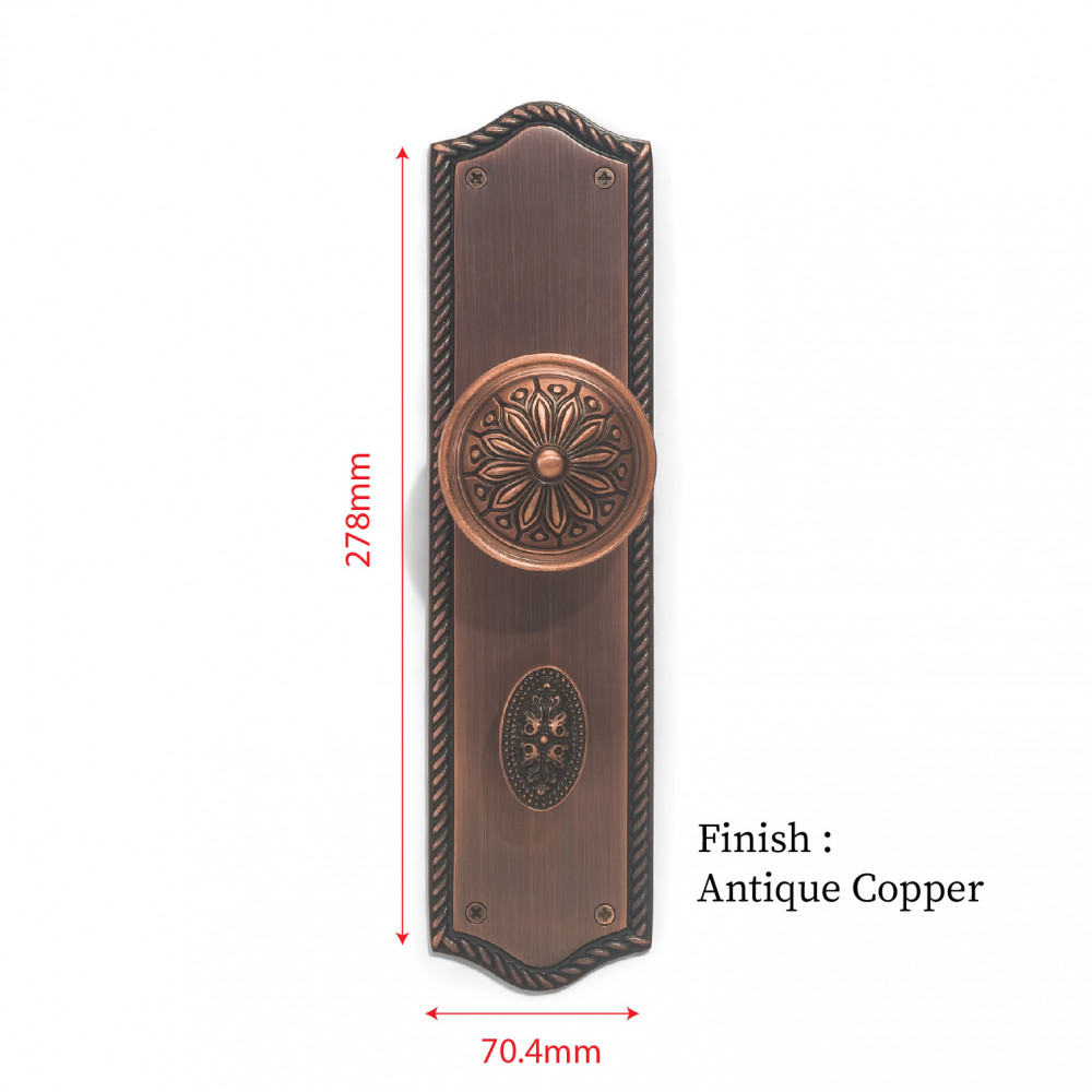 Hermes Plate with Hestia Knob & AIOM Knob – Brass Door Lockset 278 mm x 70.4 mm (10.94" x 2.77")