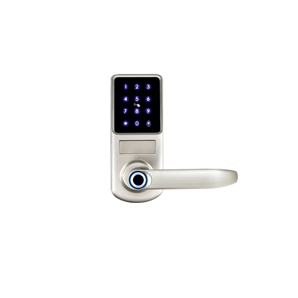 DL- A290-TY