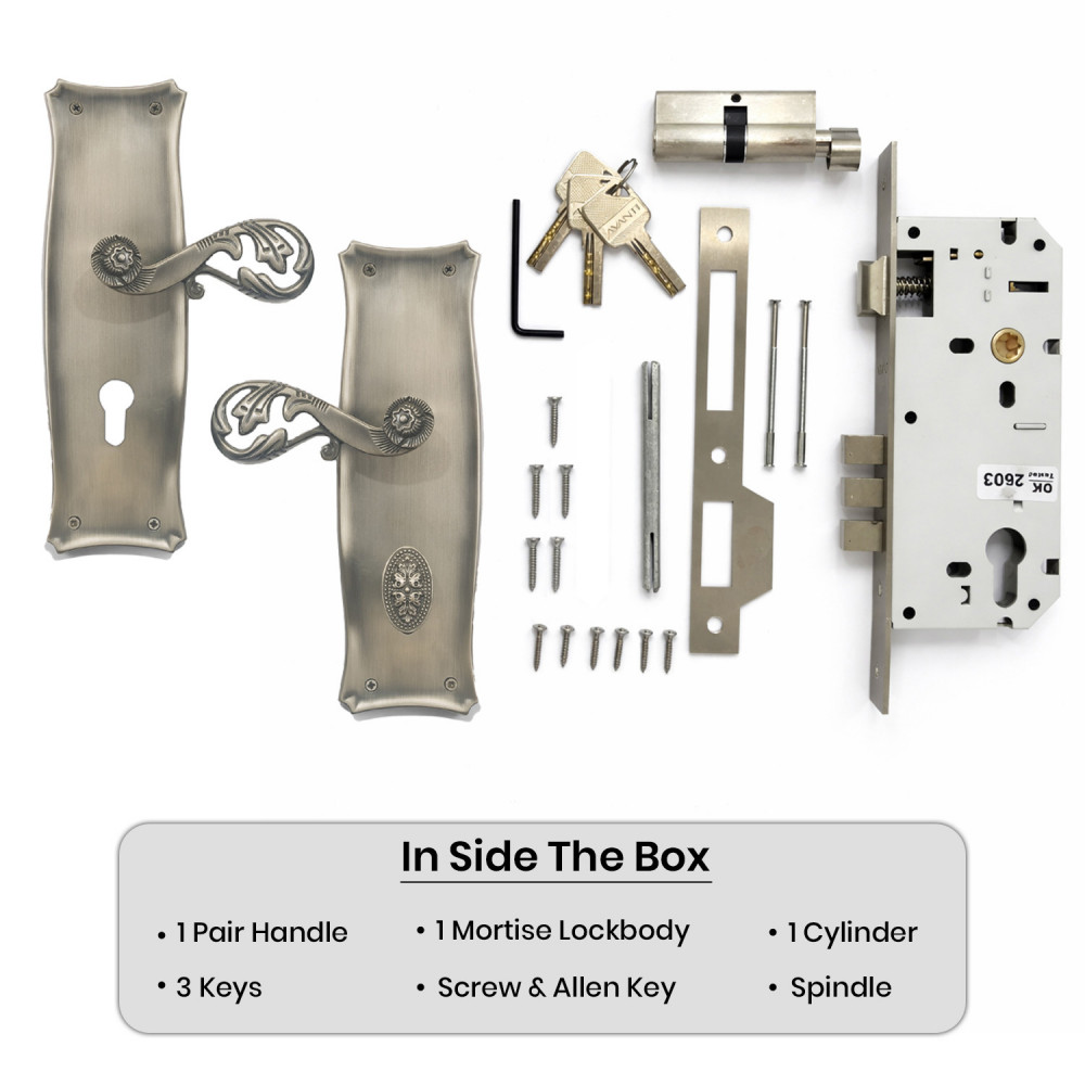 Perses Plate with Demeter Handle & AIOM Knob – Premium Brass Lockset 253 mm x 77 mm (9.96" x 3.03")