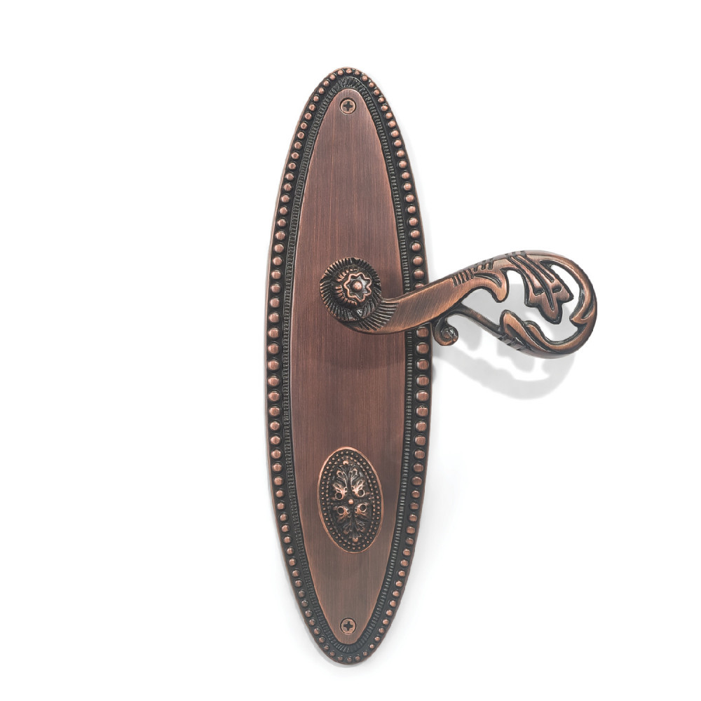 Poseidon Plate with Demeter Handle & AIOM Knob – Brass Door Lockset 253 mm x 72 mm (9.96" x 2.83")