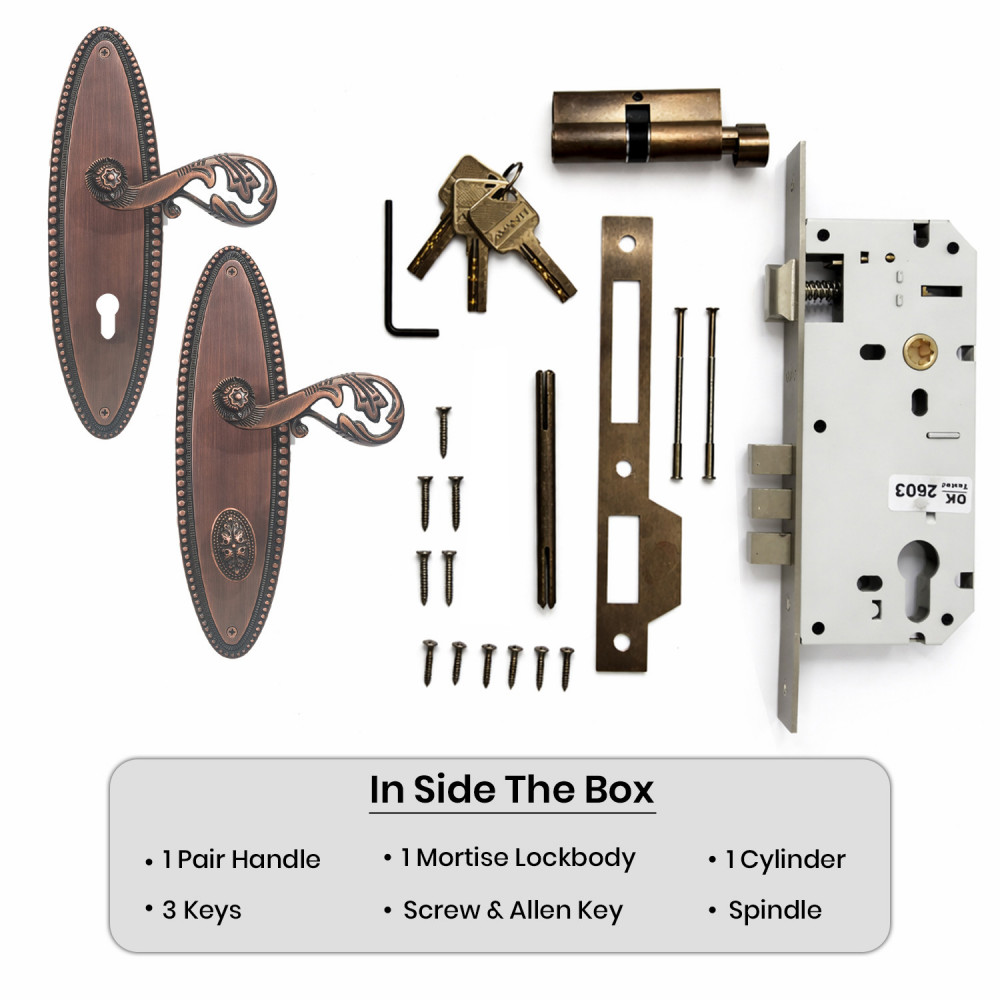 Poseidon Plate with Demeter Handle & AIOM Knob – Brass Door Lockset 253 mm x 72 mm (9.96" x 2.83")