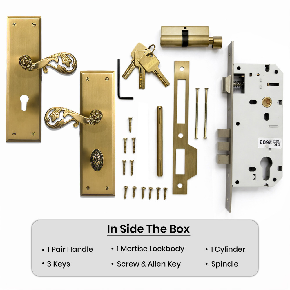 Atlas Plate with Demeter Handle & AIOM Knob – Brass Door Lockset 254 mm x 70.88 mm (10" x 2.79")