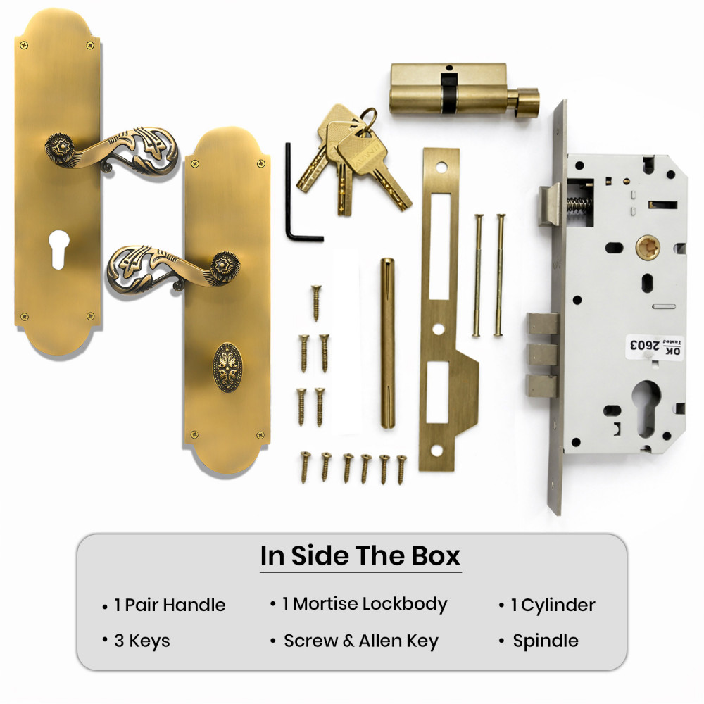 Uranus Plate with Demeter Handle & AIOM Knob – Brass Door Lockset 308 mm x 76.4 mm (12.13" x 3.01")