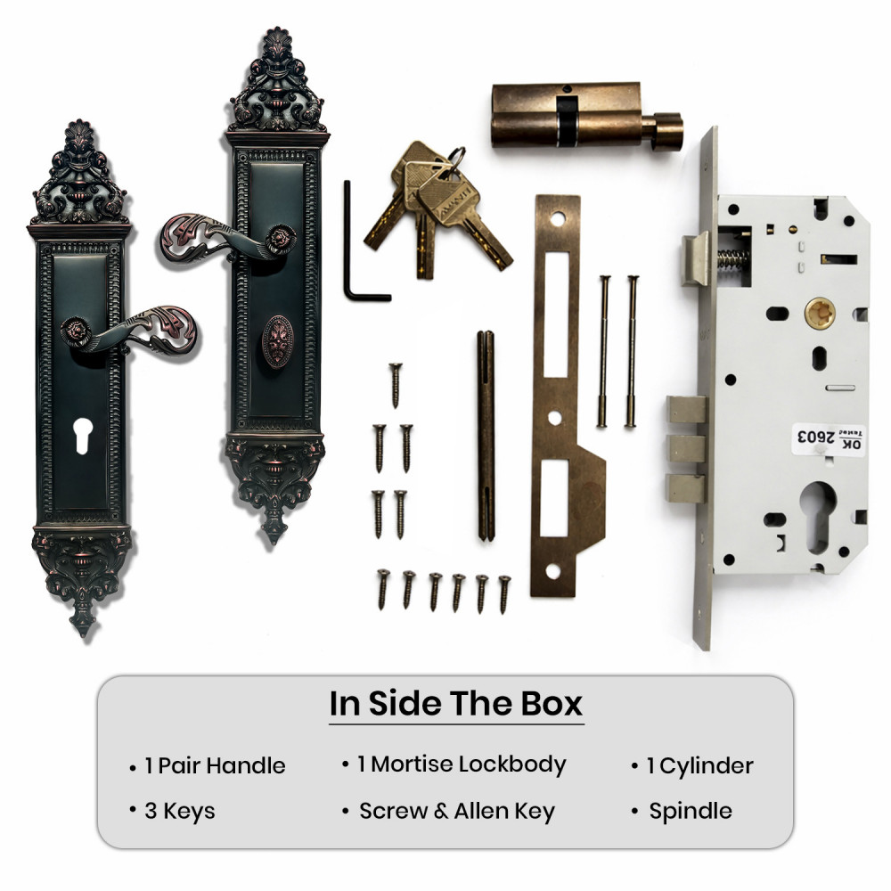 Romulus Plate with Demeter Handle & AIOM Knob – Brass Door Lockset 453 mm x 80 mm (17.83" x 3.14")