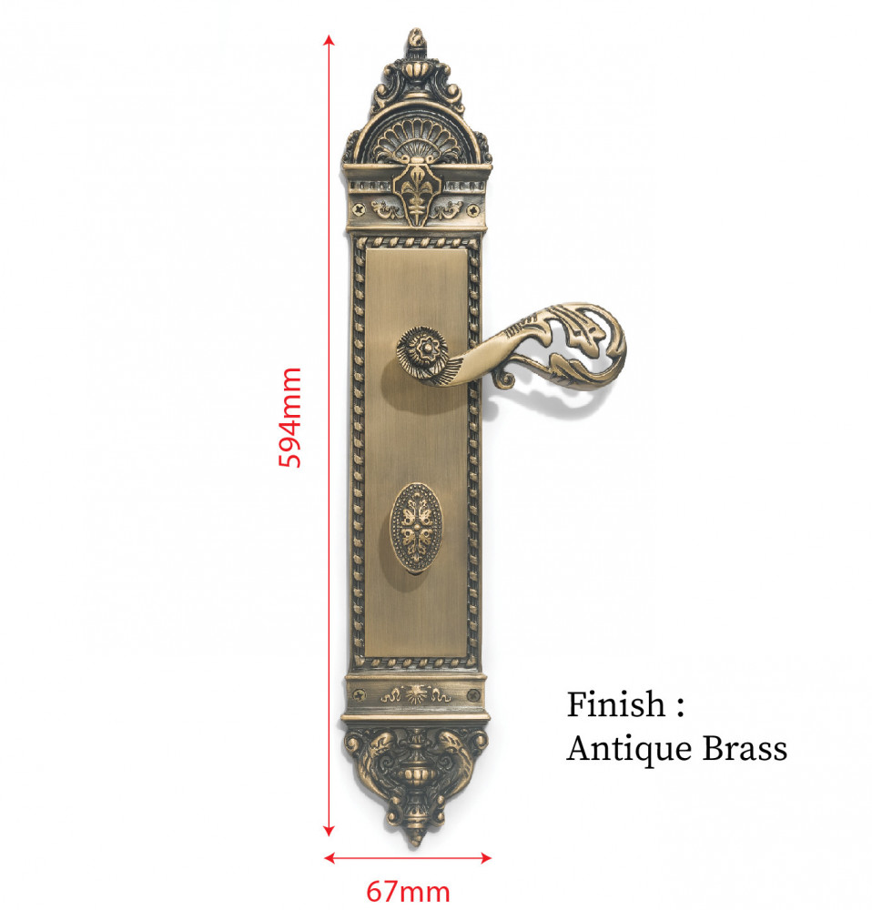 Zeus Plate with Dual AIOM Knobs – Brass Door Lockset 592 mm x 67 mm (23.3" x 2.64")